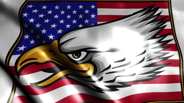 American eagle against USA flag .