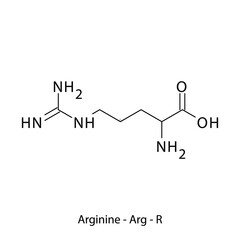Arginine - Arg - R - Essential Amino Acid simple skeletal formula and structure vector illustration, EPS 10.