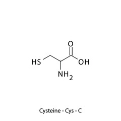 Cysteine - Cys - C - Conditionally Essential Amino Acid simple skeletal formula and structure vector illustration, EPS 10.