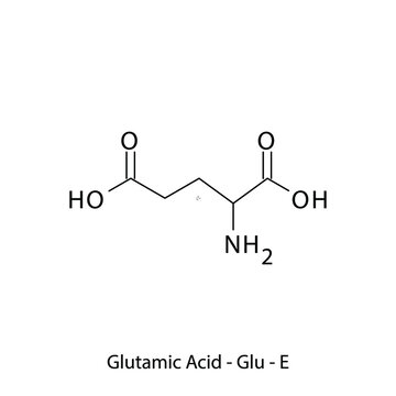 Glutamic acid - Glu - E - Non Essential Amino Acid simple skeletal formula and structure vector illustration, EPS 10.
