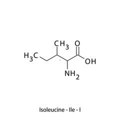 Isoleucine - Ile - I - Essential Amino Acid simple skeletal formula and structure vector illustration, EPS 10.
