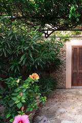 Street with old buildings clear sky and greenery on an island in Spain, Mallorca, Alcudia