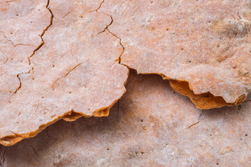 Wheat flour flatbreads snack closeup texture