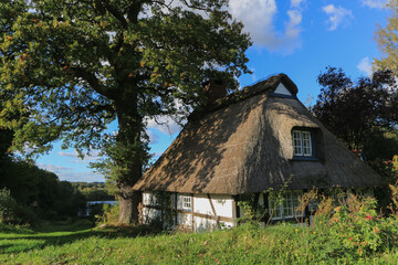 Fototapeta na wymiar Picturesque thatched cottage by the lake. 