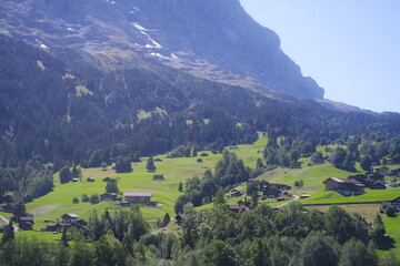 Fototapeta premium Holiday homes in Grindelwald, Switzerland, lakes and mountain villas