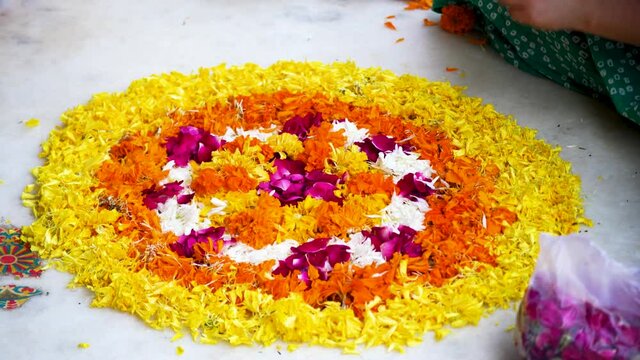 young indian woman sitting cross legged placing flower petal patterns on teh ground making a rangoli pookalam for the hindu festival of diwali, onam, bihu or a wedding with marigold jasmine flowers