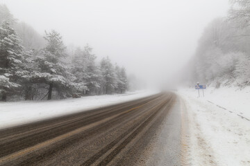 Fototapeta premium Winter bear landscape in the forest. Uludag. Bursa, Turkey. 