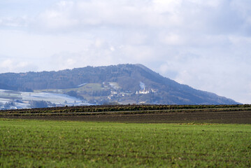 Beautiful scenic landscape with agricultural field in the foreground and forest in the background on a cloudy winter day. Photo taken December 3rd, 2021, Oberglatt, Canton Zurich, Switzerland.