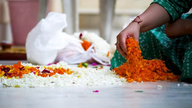 slow motion shot of Indian woman dropping marigold jasmine flowers on a rangoli pattern on the floor while making a rangoli for diwali, new year or a wedding decoration as part of the hindu religion