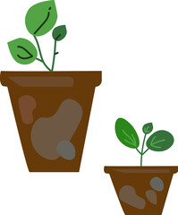 plant in pot