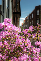 Fototapeta na wymiar Street of old town with old buildings in Haarlem, Netherlands