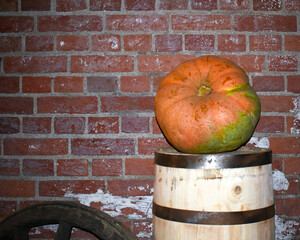 A big beautiful pumpkin. Dungeon. Cellar. Wooden barrel. - 472984385