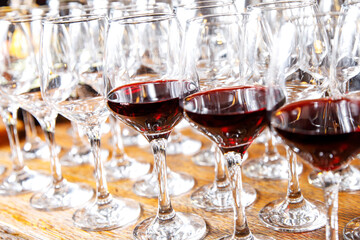 The row of red wine glasses.