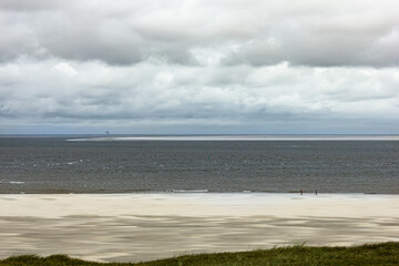 Wild nature on island of Texel, Netherlands
