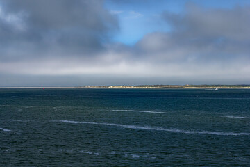 Wild nature on island of Texel, Netherlands