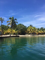 Tropical beach with palm trees. Beautiful day in Honduras.