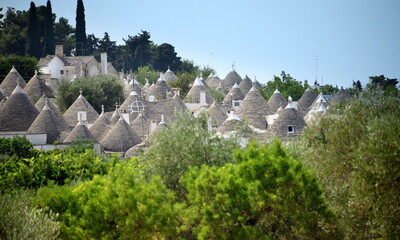 Alberobello is a city in Puglia, Italy. It is known for the Trulli, white conical stone buildings,...