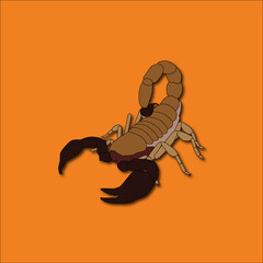 illustration of a scorpion