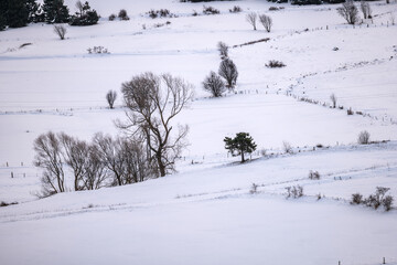 ski resort in winter