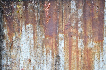 old rusty metal and dry branches. old surface. background