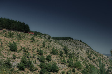 Summer day in nature with greenery, fresh air, in Tuhovishta, Bulgaria