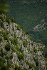 Summer day in nature with greenery, fresh air, in Tuhovishta, Bulgaria