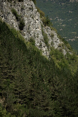 Summer day in nature with greenery, fresh air, in Tuhovishta, Bulgaria