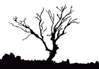 trees silhouette illustration isolated on white background