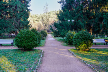An empty park and no people. Coronavirus has devastated cities