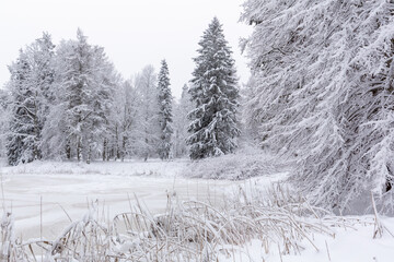 Winter scene at the pond with lot of snow and ice in December in Latvia