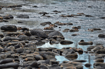 Black stones in the river water. Autumn landscape close-up. Macrophotography. Backgrounds and textures