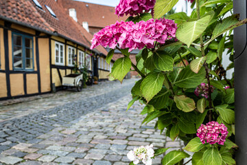 Beautiful view of old port town with charming buildings in Svendborg, Denmark