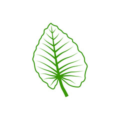 Naklejka na ściany i meble green leaf graphic design template vector