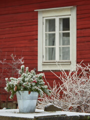 New Year's Christmas bouquet on the background of a red wooden old house.