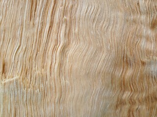 wallpaper wood texture for background