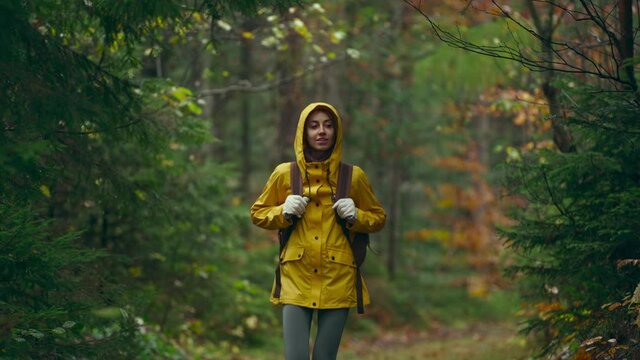 woman in eyllow rain coat jacket walking outdoors with backpack into the wild forest by trail, hiking in misty autumn woods
