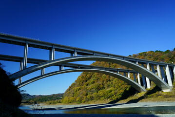 The leaves change color in autumn