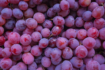 Close up of raw organic sweet red grapes background.