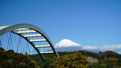 The leaves change color in autumn