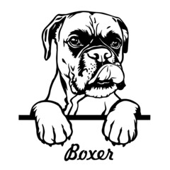 Boxer Peeking Dogs. Boxer dog breed. black  and white clipart of a dogs head isolated on a white background. The dog stuck out its tongue.