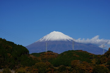 The leaves change color in autumn