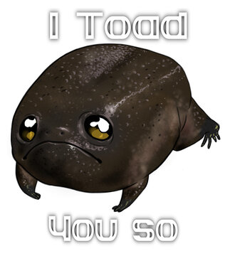 Digital illustration of a cute black rainfrog with the humorous text "I Toad you so"