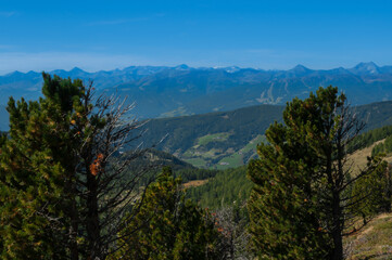 Fototapeta na wymiar Bergige Landschaft in Österreich. Blick von einem hochgelegenen Punkt auf eine Gebirgskette im Vordergrund befinden sich Nadelbäume. Sonniger Herbsttag