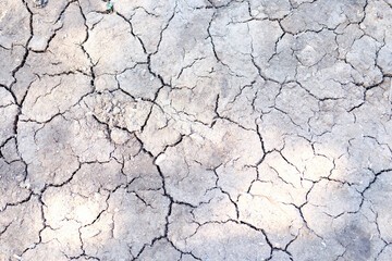 Cracked dry earth, close-up of soil erosion