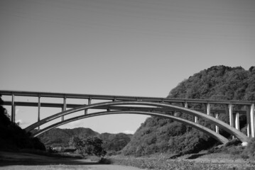 The leaves change color in autumn