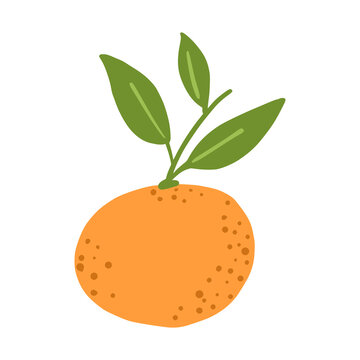 Orange fruit. Tangerine isolated in doodle style