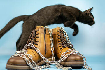 Black cat jumping over a pair of new boots on a blue background. Fashionable concept.