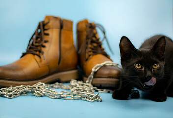 A black cat sits to the right of a pair of new boots against a blue background. Fashionable concept.