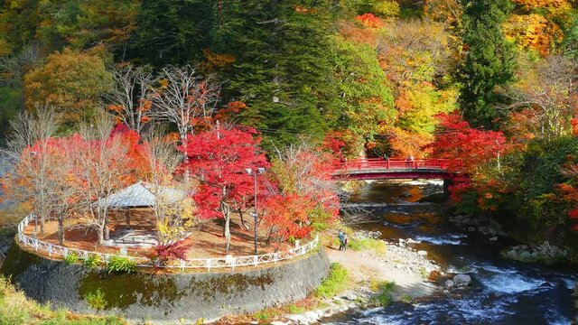 Red bridge and Fudo stream at Mount Nakano - Momiji in autumn in Kuroishi city ,Aomori prefecture, Tohoku region ,Japan