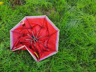 broken umbrella abandoned